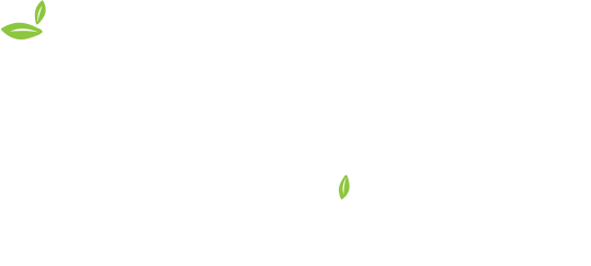Line Image